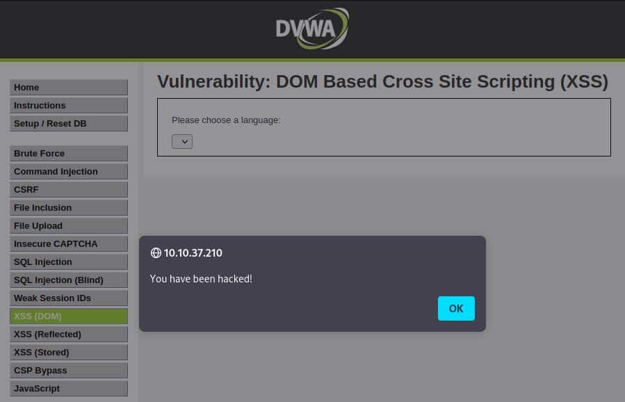 DOM XSS on DVWA low security successful screen